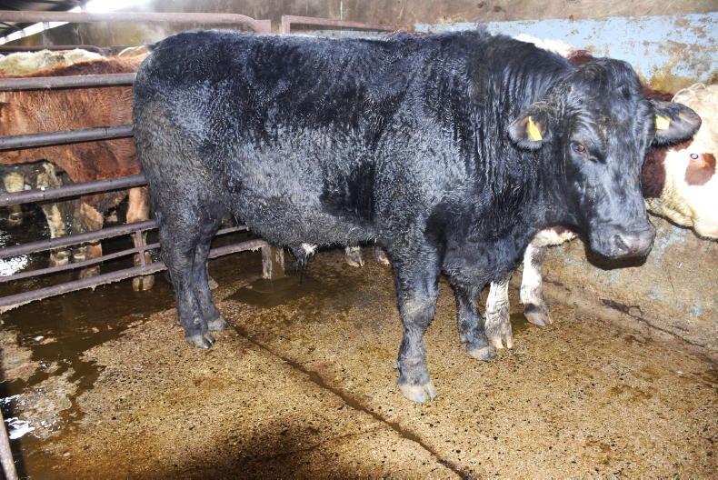 Northern View: factories take 10p/kg off prices paid