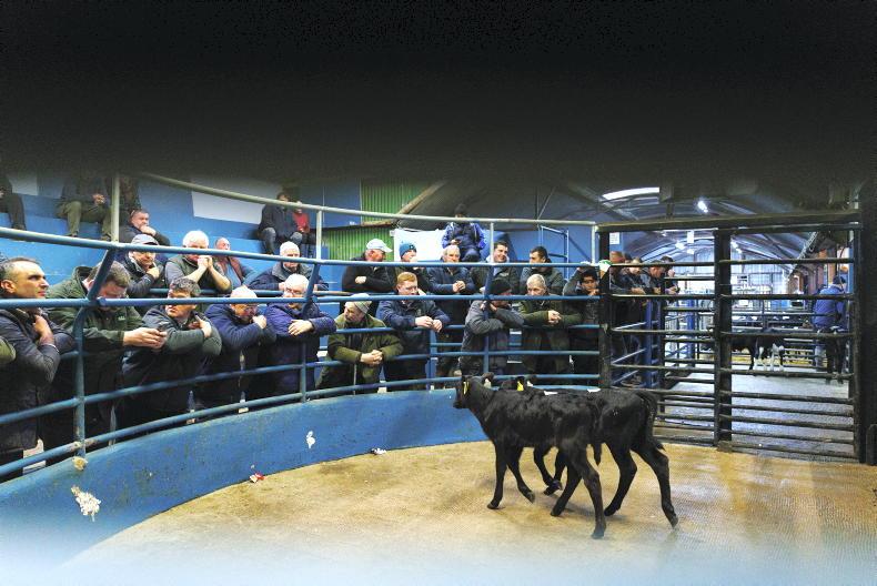 Cut to VAT rate discriminating against marts – ICOS