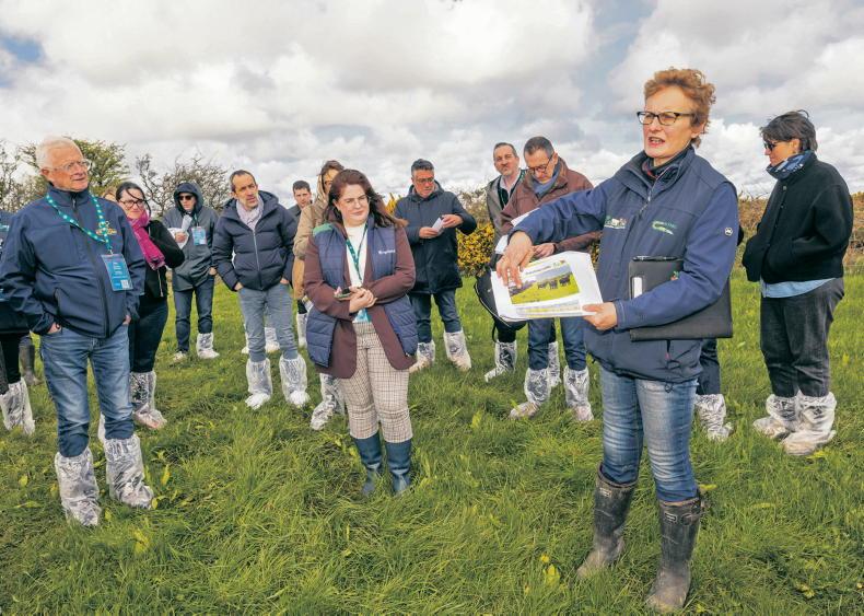 A different kind of farm visit