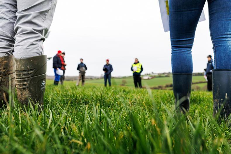 Dairy Management: Munster rainfall makes ground sloppy