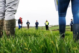 Dairy Management: Munster rainfall makes ground sloppy