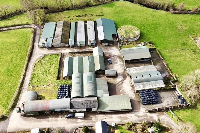 Top of the range dry stock farm near Ballymoney