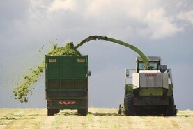 Silage 2026 photo competition: send us your photos