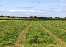 Contractor to pay tractor driver €500 over silage season employment dispute 
