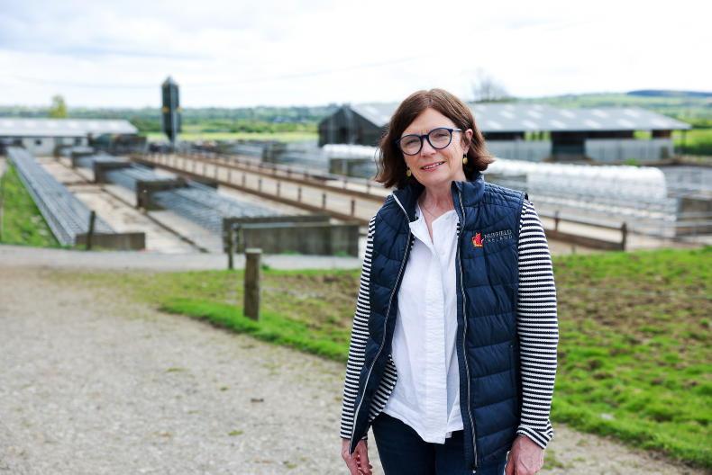 Producers on the mainstage: Nuffield set to showcase the best of Irish produce
