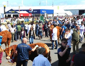 All set for an action-packed 2026 Balmoral Show