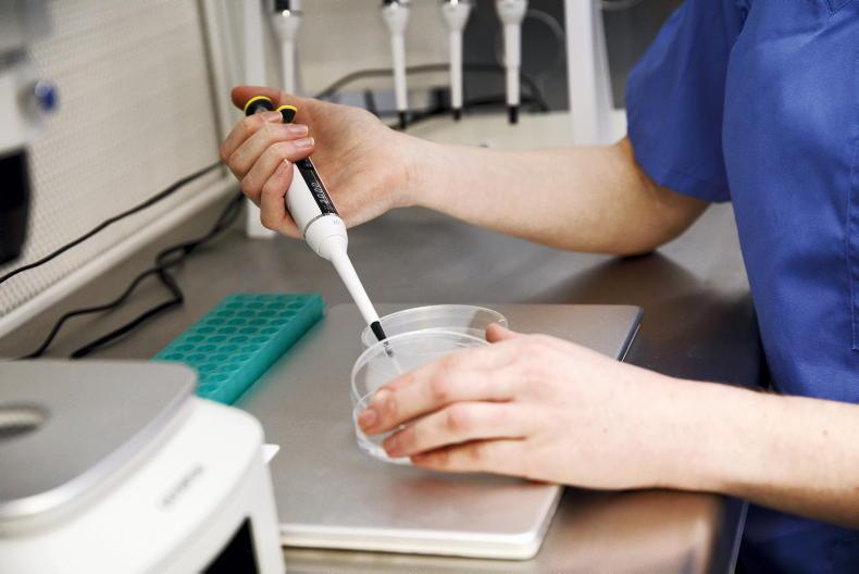 Methane-reducing feed additives and TB included in €37.5m research funding