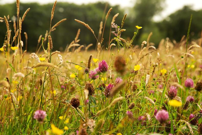 Concerns about Nature Restoration Plan persist - INHFA