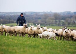ICSA sounds alarm on Commission's CAP thinking with part-time farmers