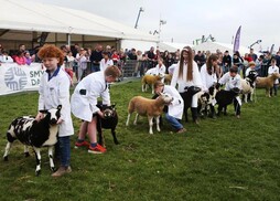 Livestock exhibitors alive to disease threats