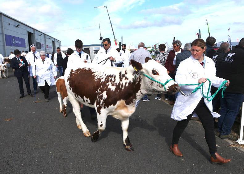 News in-brief ahead of Balmoral Show