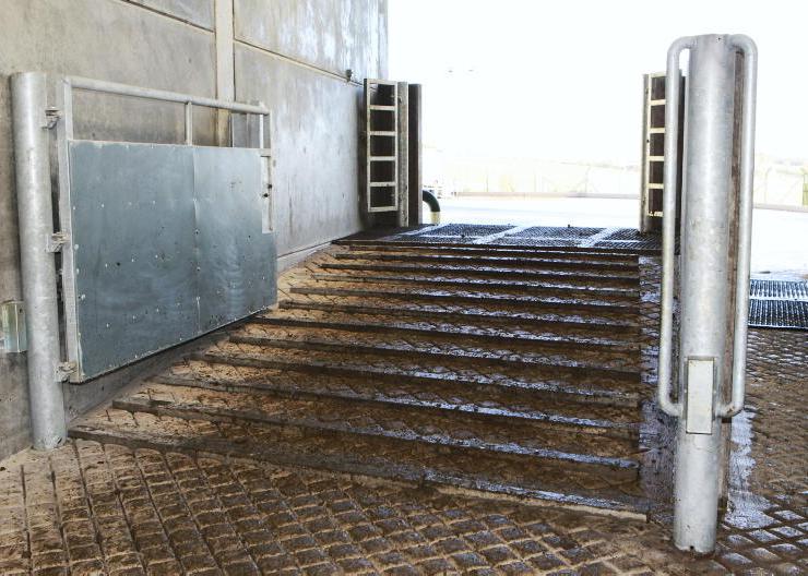 ABP acquires beef processor in Germany