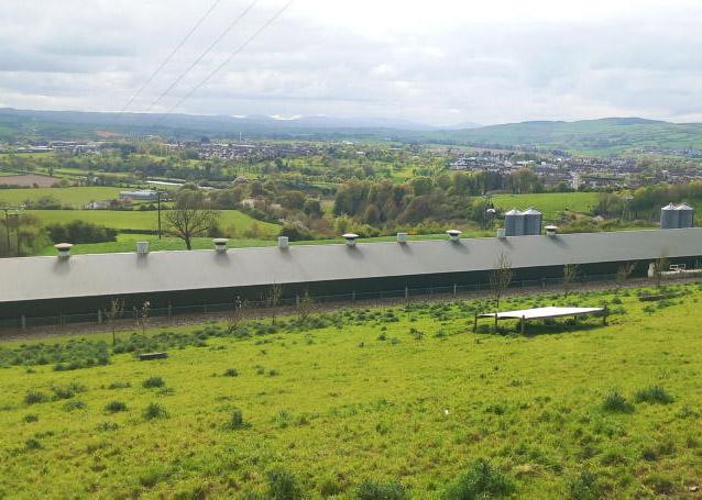 Egg technology start-up exhibiting at Balmoral