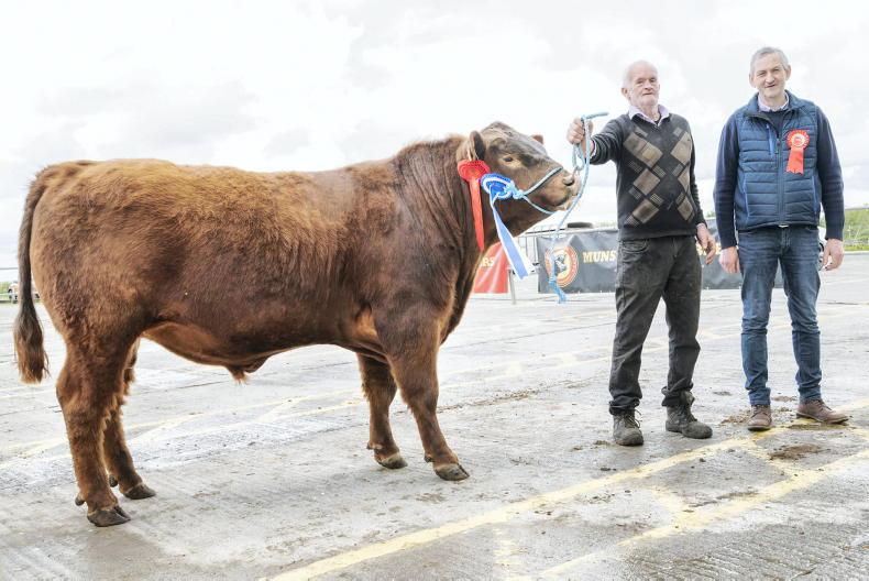 Red Albert receives the highest price in Munster