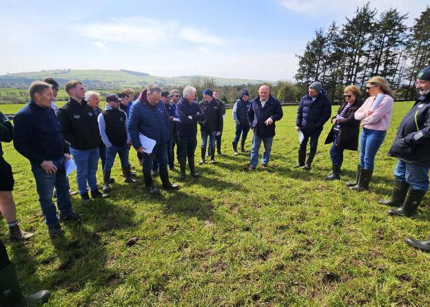 Flexibility of management when it comes to clover