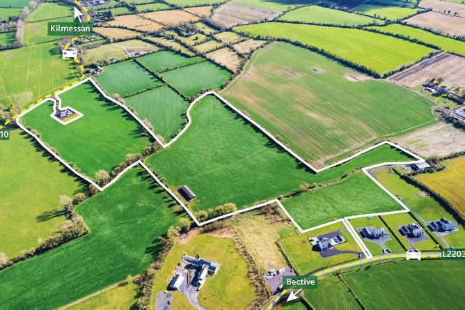 Meath farm for €550,000 offers ready-to-work 35ac
