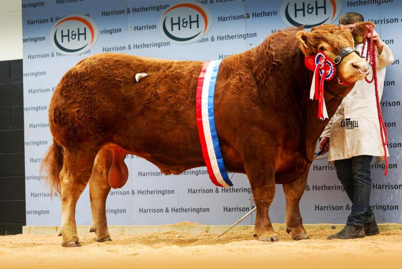 Four in a row for Goldies in Carlisle