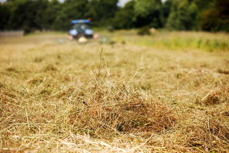 Eye in the sky to assess eligibility for €50/ha ACRES late meadow bonus