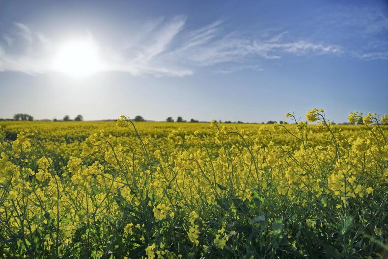 Tillage management: sowing wrapping up, lots to be done in fields