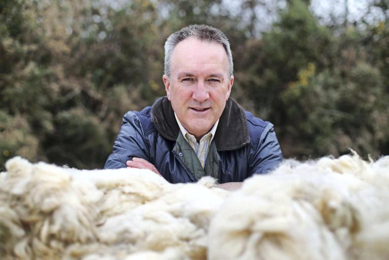 10-year high for Ulster Wool prices