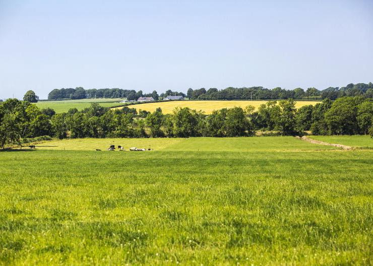 ACRES-like measures advised for new agri-environmental scheme