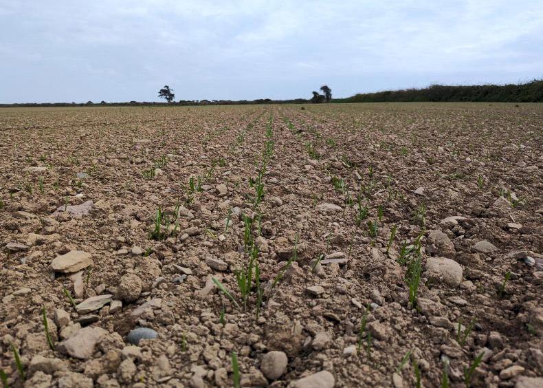 Couple fail to gain sterilised zone on farmland 