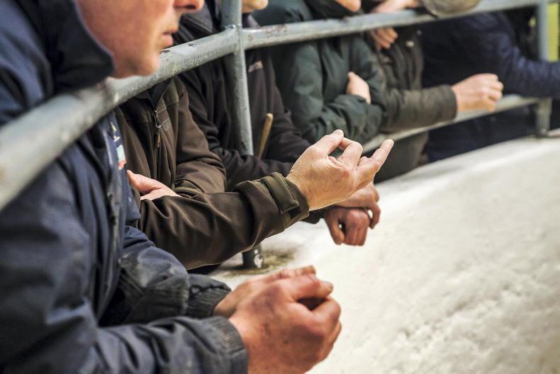 Revenue set for €4m VAT windfall from mart sales