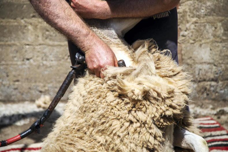Ulster Wool price hits 10-year high