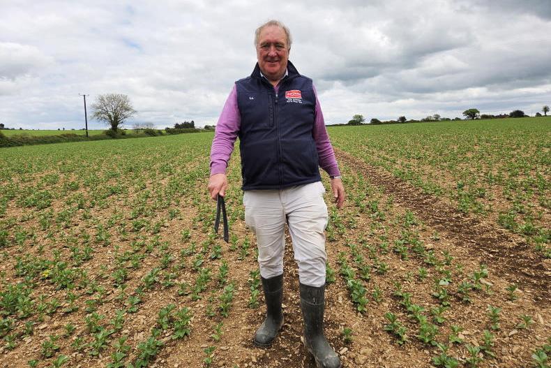 Tillage Podcast: walking great crops in Co Cork