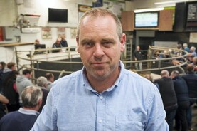 Watch: full clearance for organic cattle in Elphin Mart