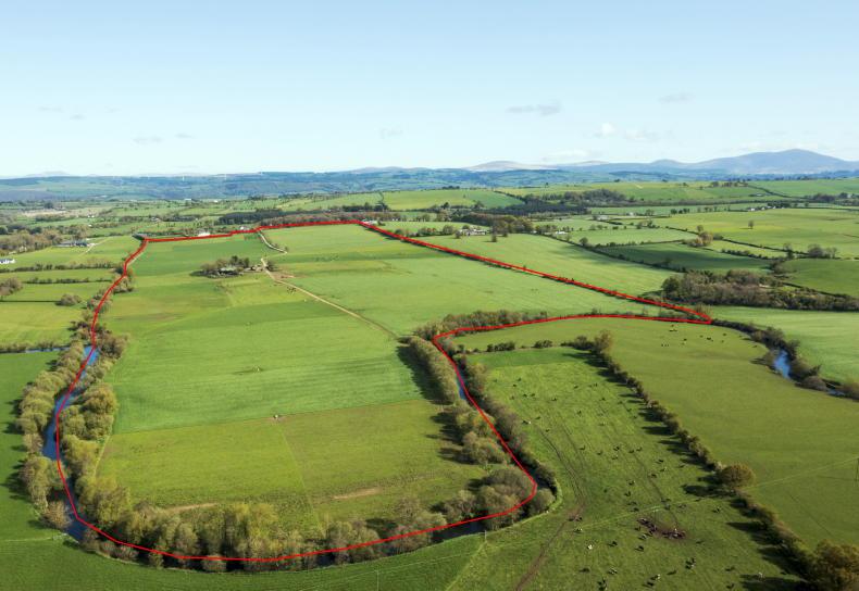 Big farms in dairy country on the market