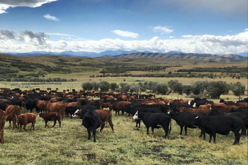 Canadian farmers oppose Mercosur deal