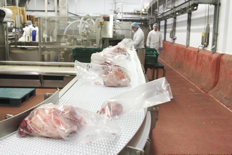 Agri jobs: maintenance technicians, welders and meat processing operatives