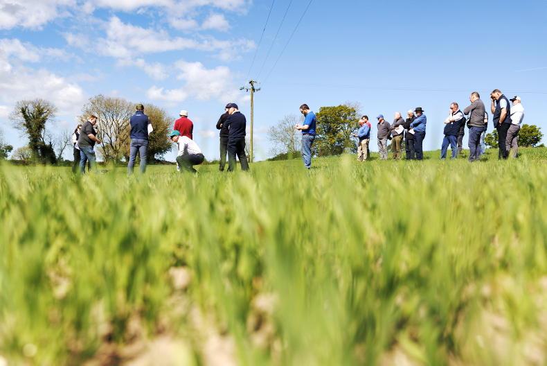 In pictures: this week in photos as spring work ramps up nationwide