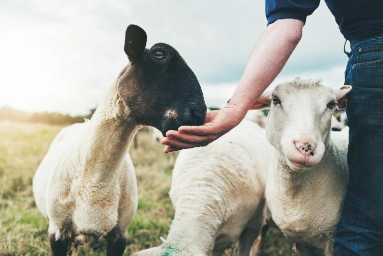 The food tourism experience  – ‘authenticity is the key’      