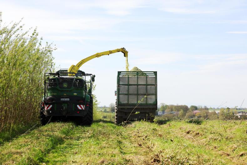 Biomass remains biggest source of renewables in Europe 