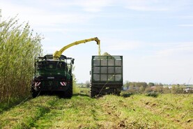 Biomass remains biggest source of renewables in Europe 