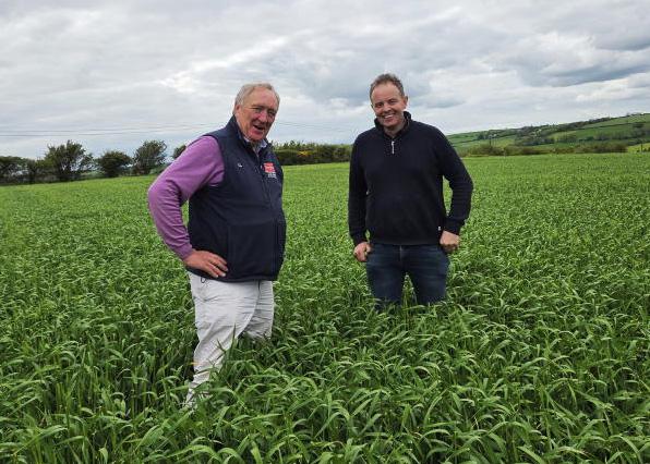 Accompany the agronomist: super crops in Cork with great potential