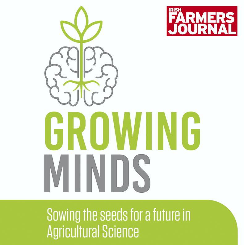 Growing Minds audio revision quiz answers