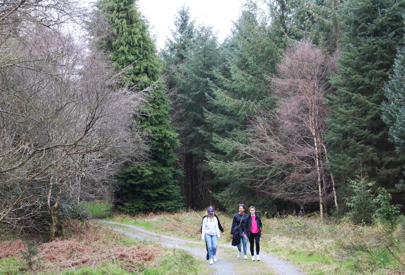 Our expanding recreation forests are waiting to be discovered