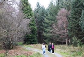 Our expanding recreation forests are waiting to be discovered