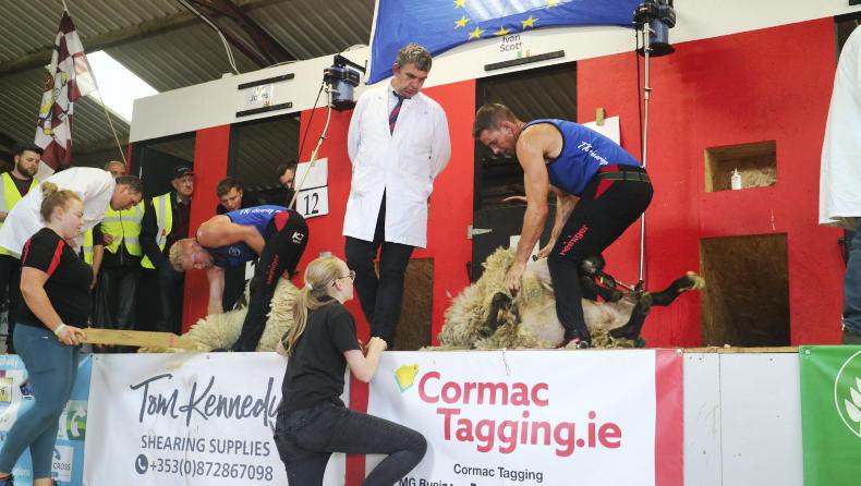 New provincial shearing competition at Shearfest 2026