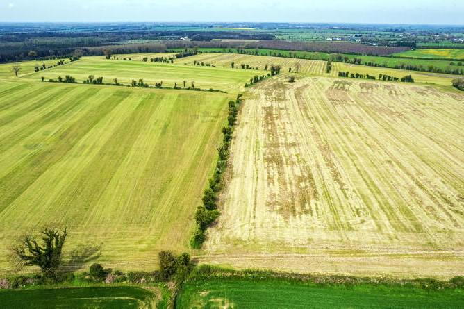 Substantial 149ac Kildare farm offers rare opportunity 