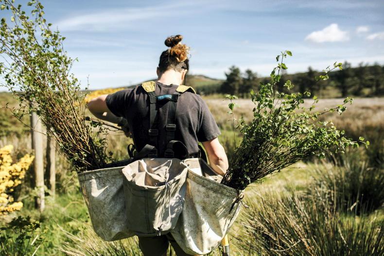 New project aims to pay farmers for nature restoration