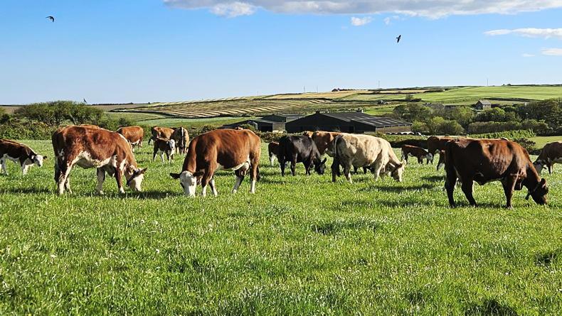 Farmer Writes: beware of unexpected consequences