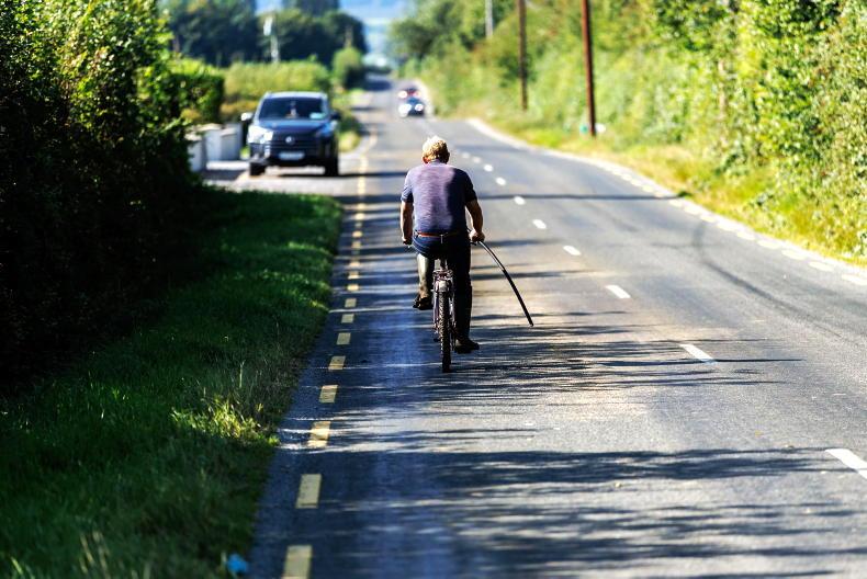 Boar off, cyclists?