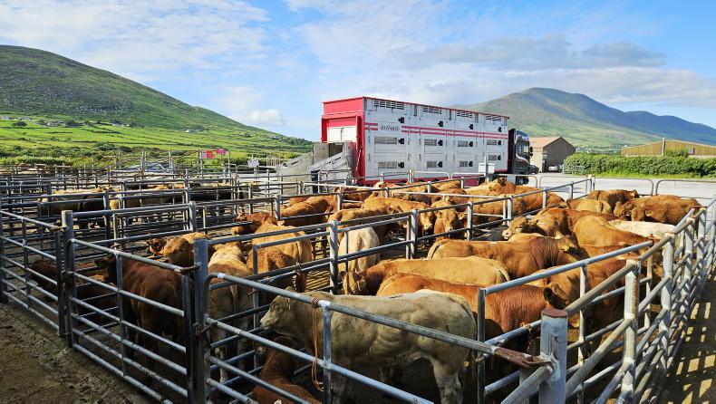 Shippers keep floor under weanling trade 