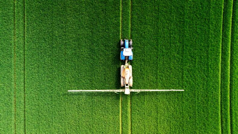 Tillage management: Weeds, disease and minding the bees