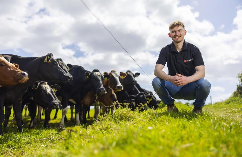 My Farming Week: Killian O’Connell, Bunmahon, Co Waterford