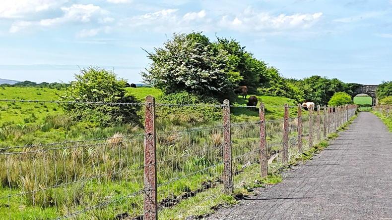 Use of CPOs for greenways ignores farm families - IFA